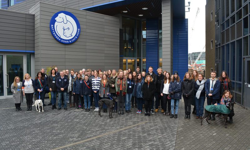 Volunteering programme achieves leading accreditation status