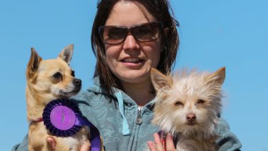 National Pet Month – how can you help?