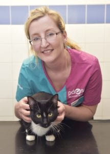 Smoking around pets could kill them, warns vets