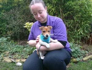 Puppy purchased while parents on holiday finds home