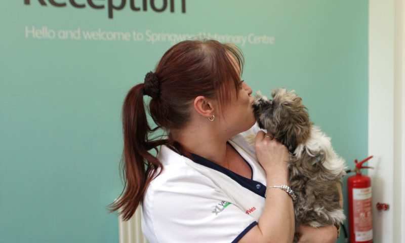 Vet practice celebrates women in business and science