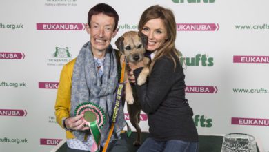 Crufts announces the Nation’s top dog hero