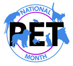 National Pet Month – how can you help?