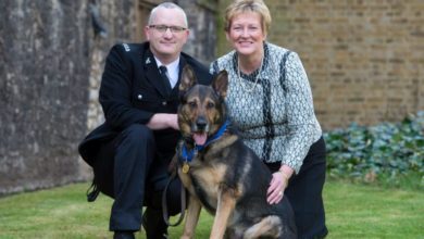 Police dog awarded animals’ George Cross