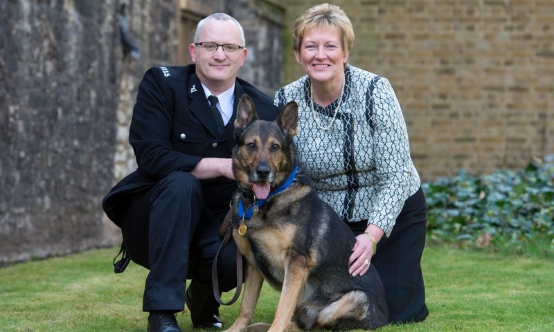 Police dog awarded animals’ George Cross