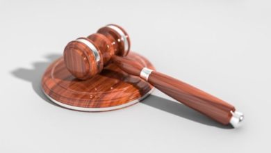 Welsh man jailed for killing his dog: Charity urges for action