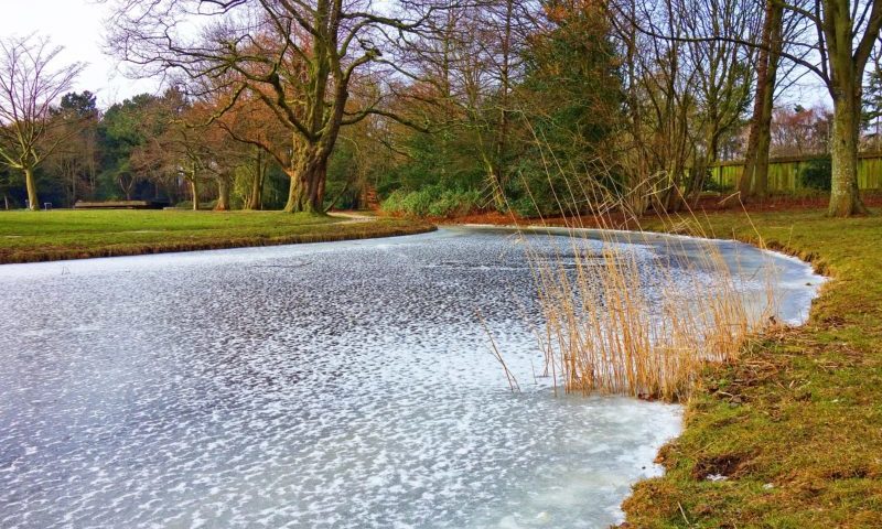 The ‘Beast from the East’ is snow joke for pondkeepers