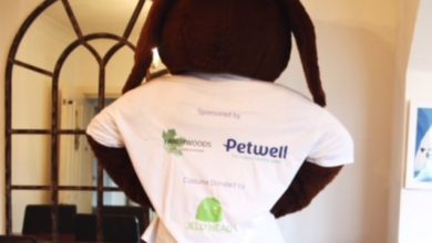 Online retailer sponsors assistance dog