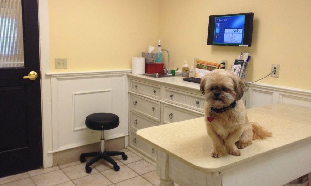 Vet exclusive products 95 percent more likely to be recommended, says Nutravet