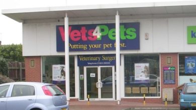 Man charged with murdering veterinary practice receptionist