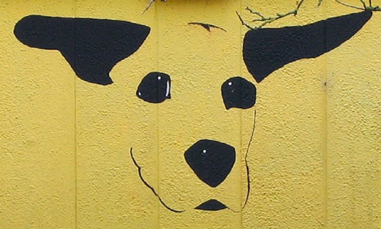 Dogs Trust