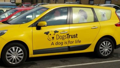 Dogs Trust