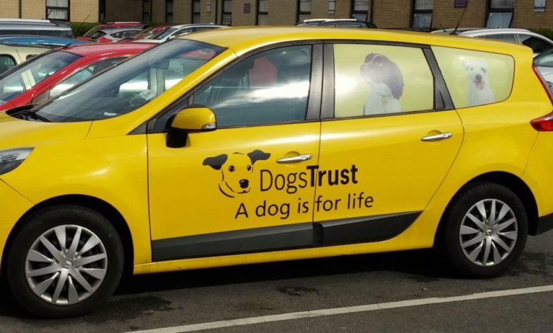 Dogs Trust