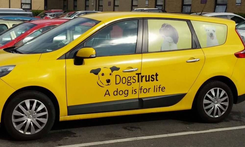 Dogs Trust