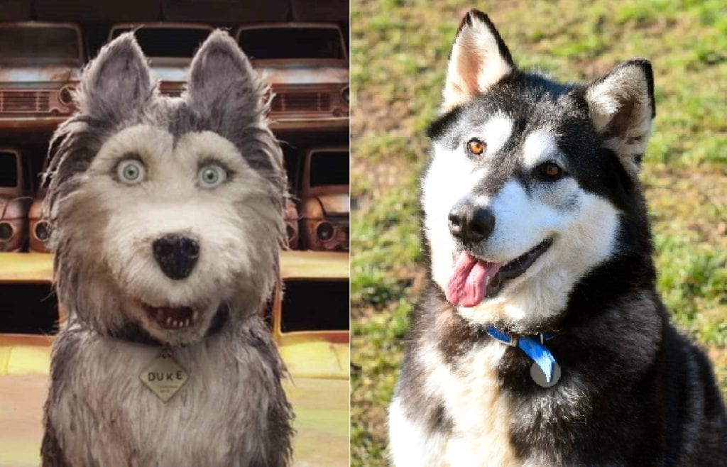 Battersea’s Isle of Dogs lookalikes hoping to find fame and fortune