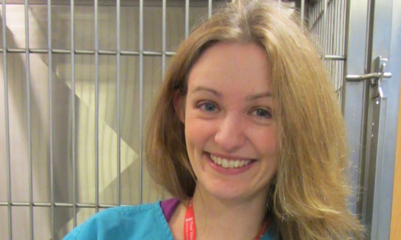 Day in the life of an exotic vet