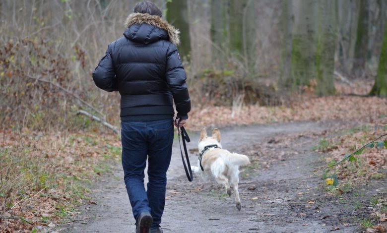 Kennel Club