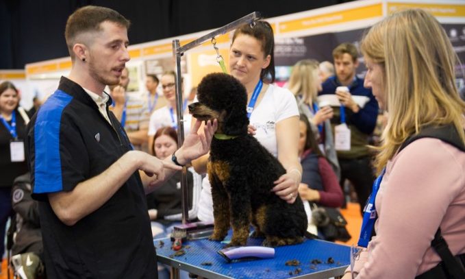 Welsh Grooming Academy