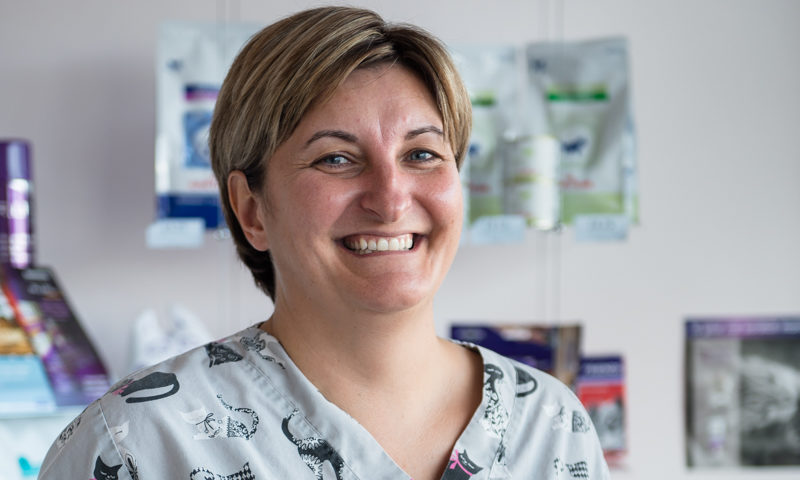 The importance of keeping veterinary practices up to date