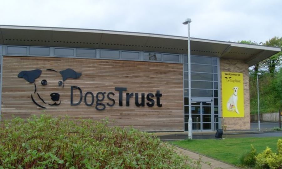 Dogs Trust scheme ensures dogs of the deceased are looked after