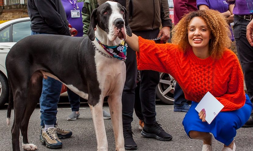 Mayhew’s Open Day raises £10,000