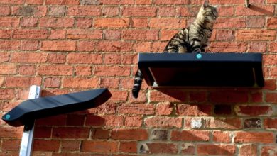 Catipilla releases new cat climbing frame