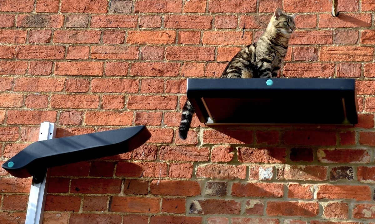 Catipilla releases new cat climbing frame