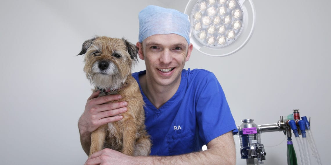 Pets’n’Vets Family backs bill to stop irresponsible dog breeding Post