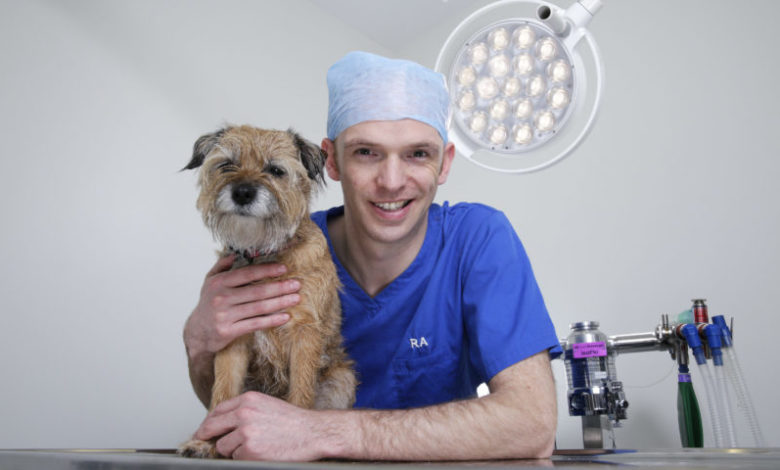 Pets n Vets