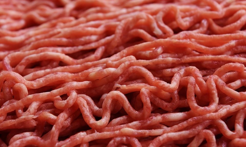 Dog owner sends out warning after suspected dog poisoning