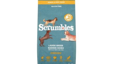Couple to launch own pet food brand after being ‘unhappy’ with current market