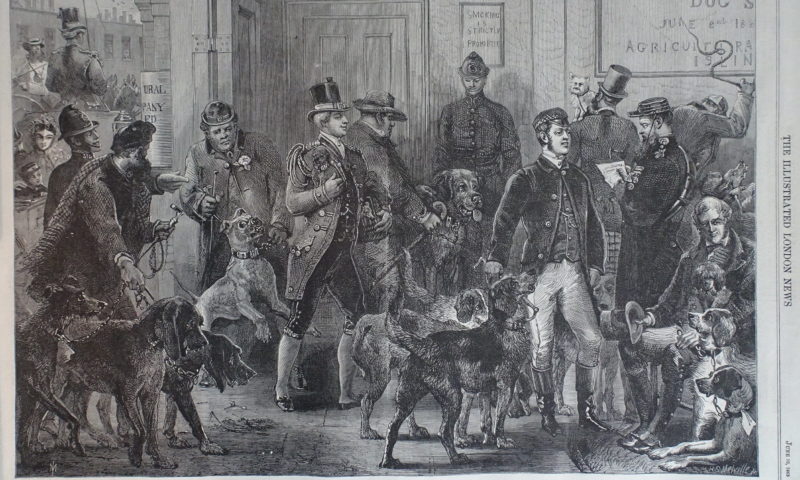 The history of British families and their pets