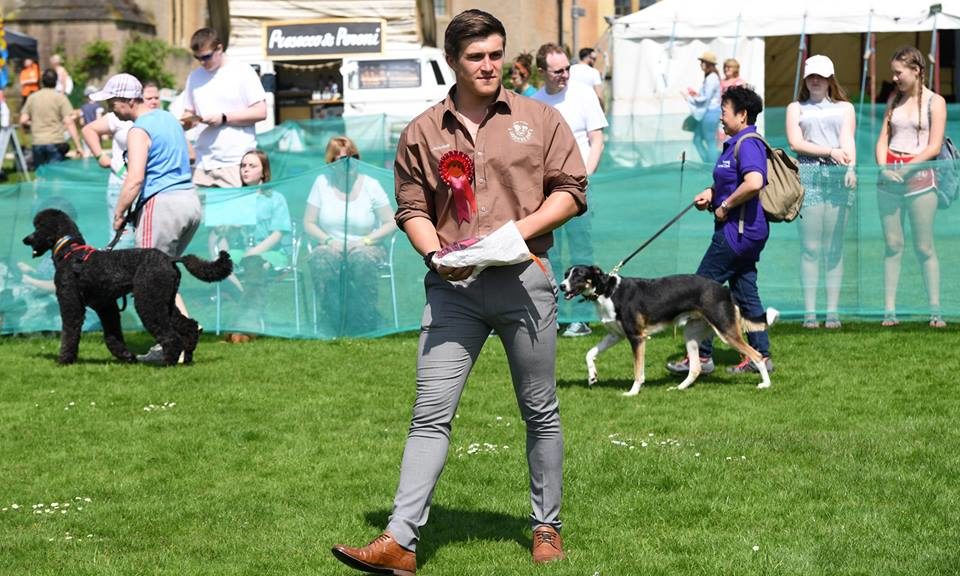 Dog food company Laughing Dog partners with Jerry Green Dog Rescue