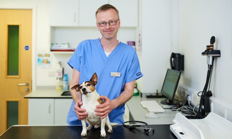 Veterinary surgeon becomes a partner at Scarsdale Vets