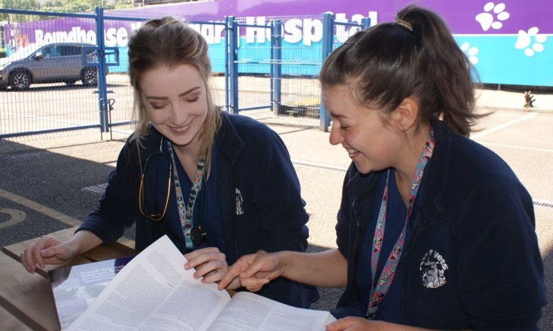 Pets’n’Vets introduces training programme for newly qualified RVNs