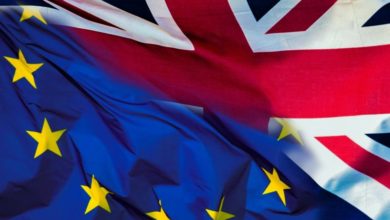 Over 1,600 EU vet professionals respond to second RCVS Brexit survey