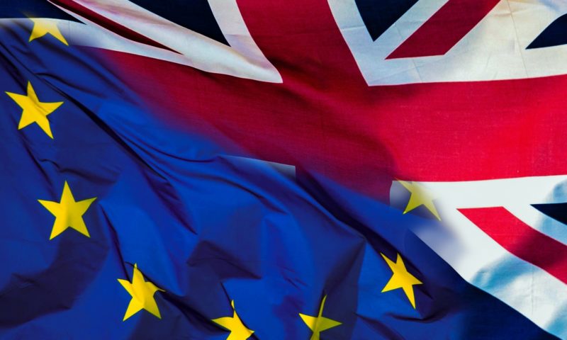 Over 1,600 EU vet professionals respond to second RCVS Brexit survey