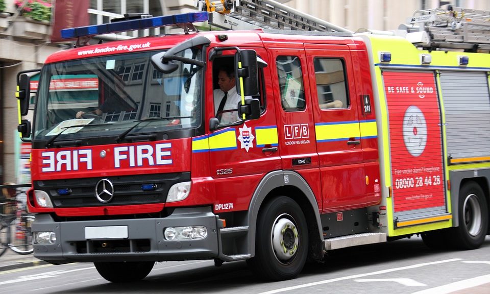 Boy stuck up tree after attempting to rescue cat Post