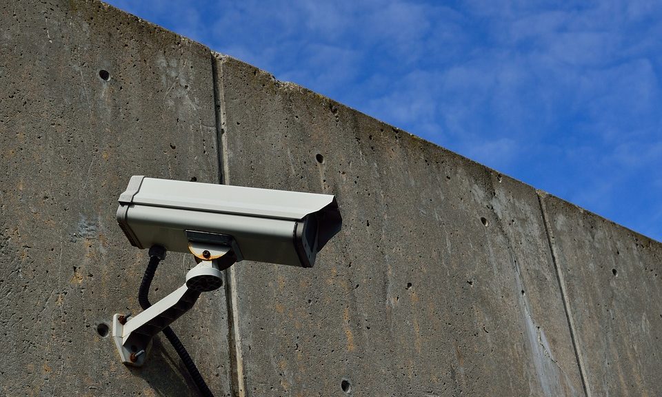 Spate in pet shop robberies continues as Frimley store is broken into