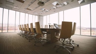RCVS introduces two new committees to aid decision-making