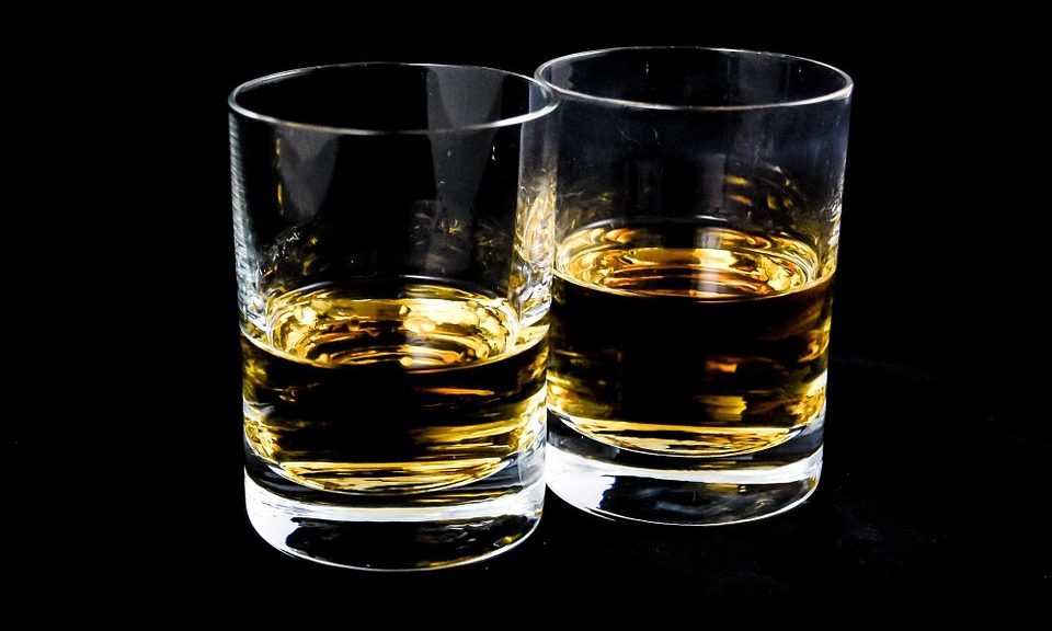 New micro-algae pet food startup receives £500k investment