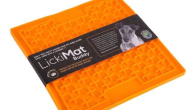 Slow-feeding ‘Lickimat’ launched for pet separation anxiety