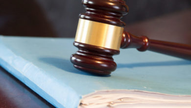 Disciplinary Committee strikes off vet for animal welfare offences