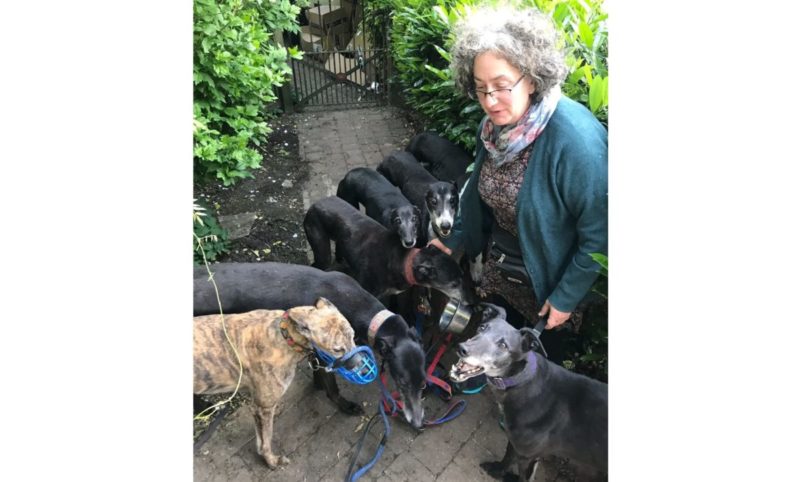 Greyhound team named blood donor of the year by RVC