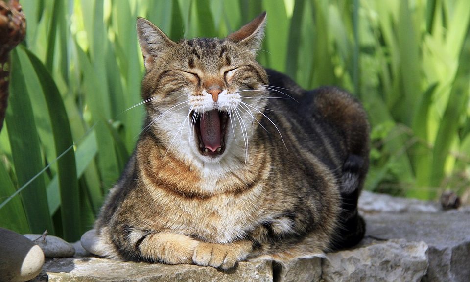 Number of retail staff working nights doubles