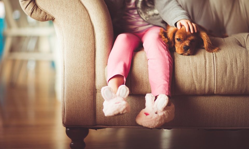 Half of the UK names a dog as their best friend according to new research