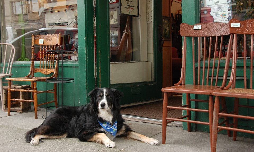 Store closures lead to slump in demand for retail space