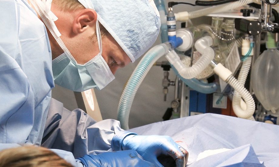 Vet cleared of ‘disgraceful conduct’ after cat dies