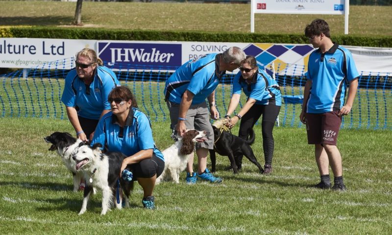 Fish4Dogs sponsors first UK Flyball League Championship