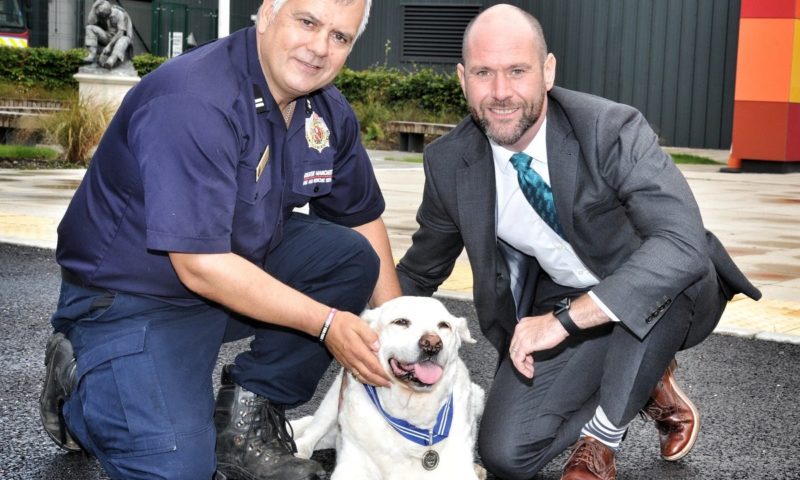 Manchester hero hounds recognised with ‘animal OBE’